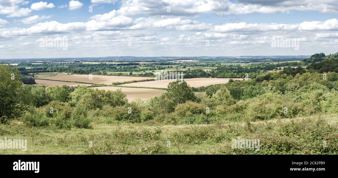 Watlington Hill, The Chiltern hills Area of Outstanding Natural Beauty. Oxfordshire, UK Stock Photo