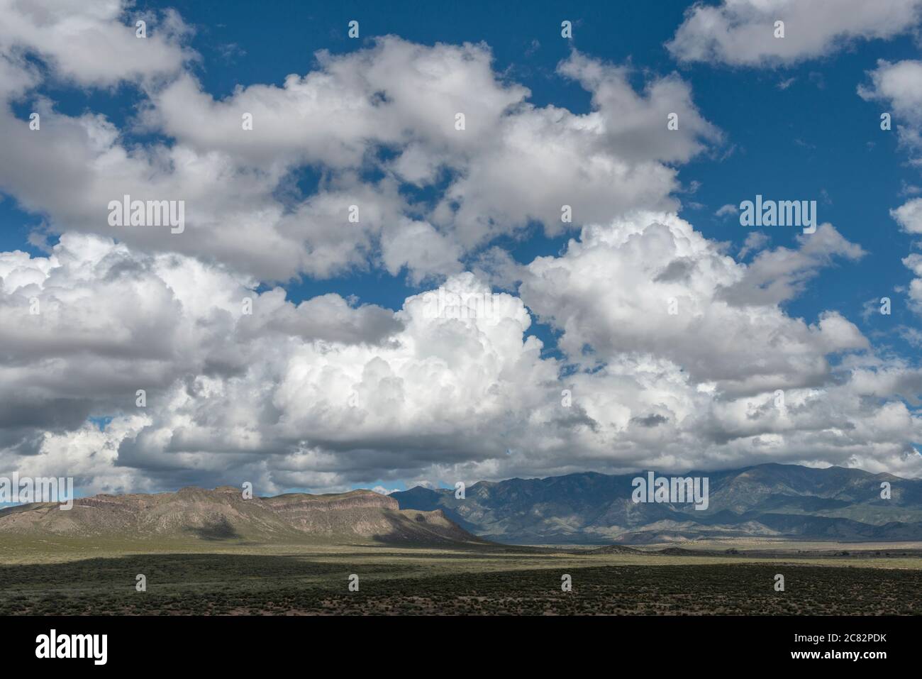 USA,New Mexico, summer thunderstorm clouds Stock Photo