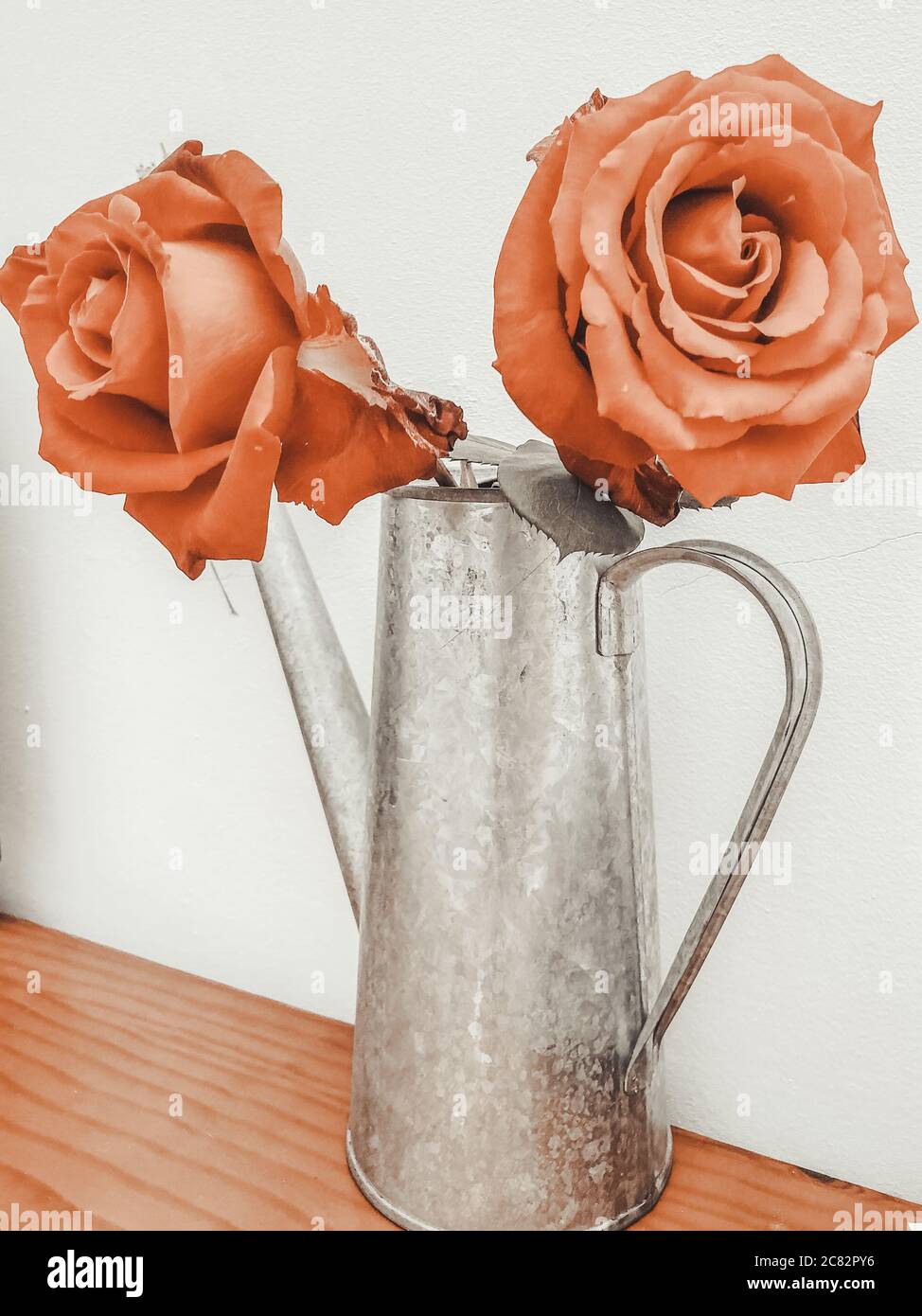 Flower decor autumn in christmas Stock Photo