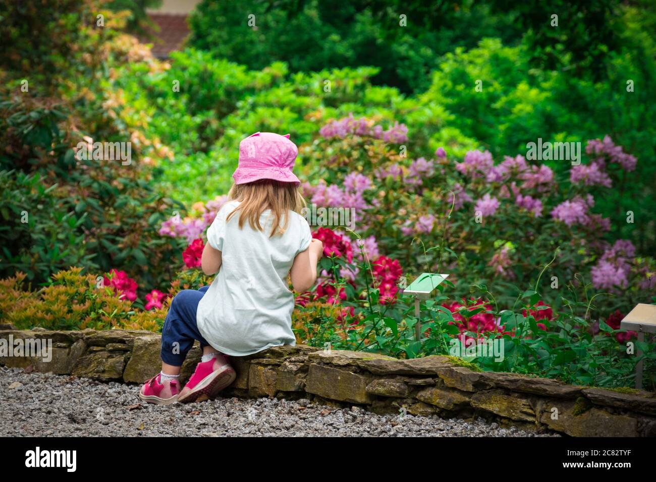 Girl child relaxing in  flower garden rear view. Adorable little kid sitting around growing flowery. Young caucasian female child outside enjoy mornin Stock Photo