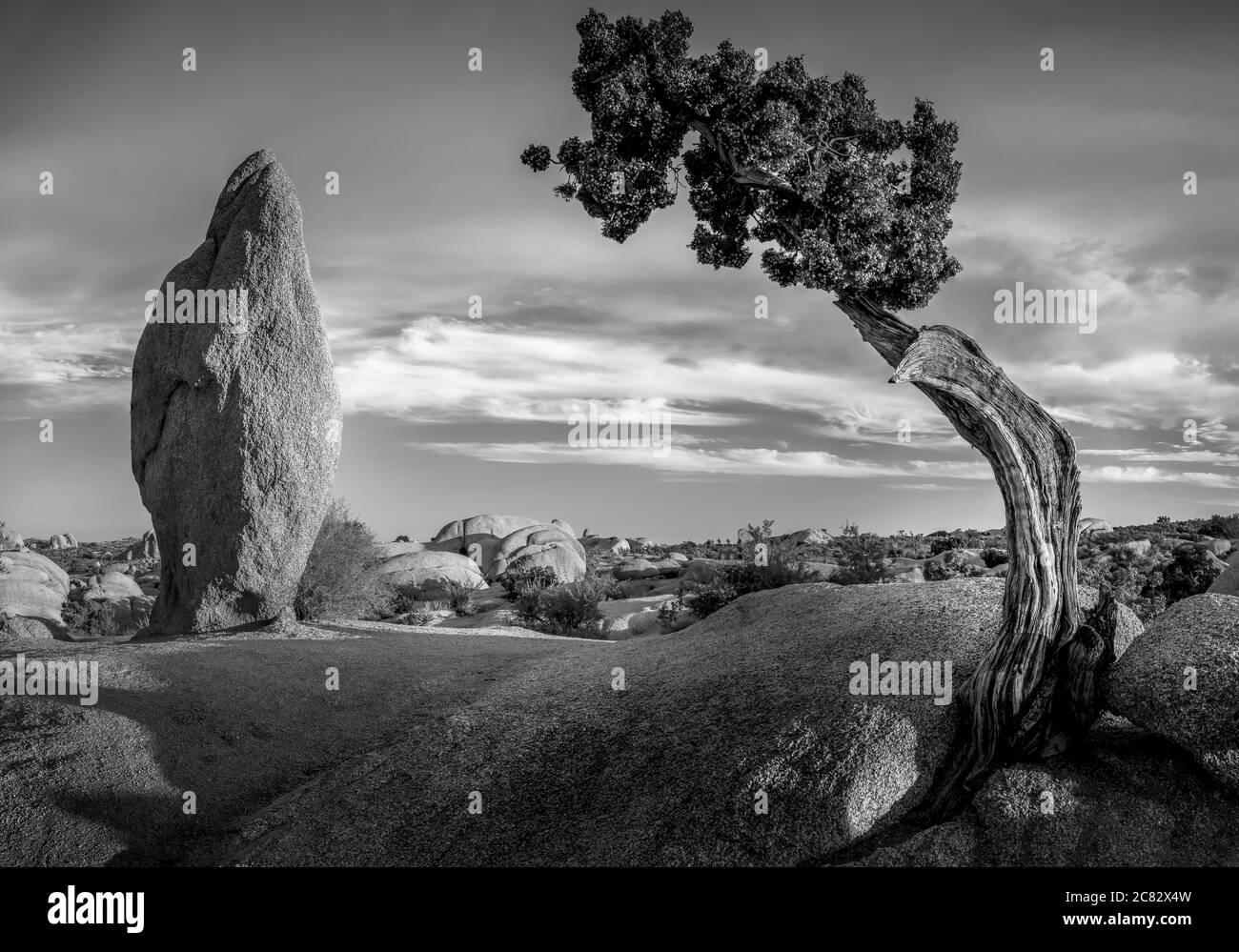 Jumbo Rocks Campground in Joshua Tree National Park, California Stock Photo