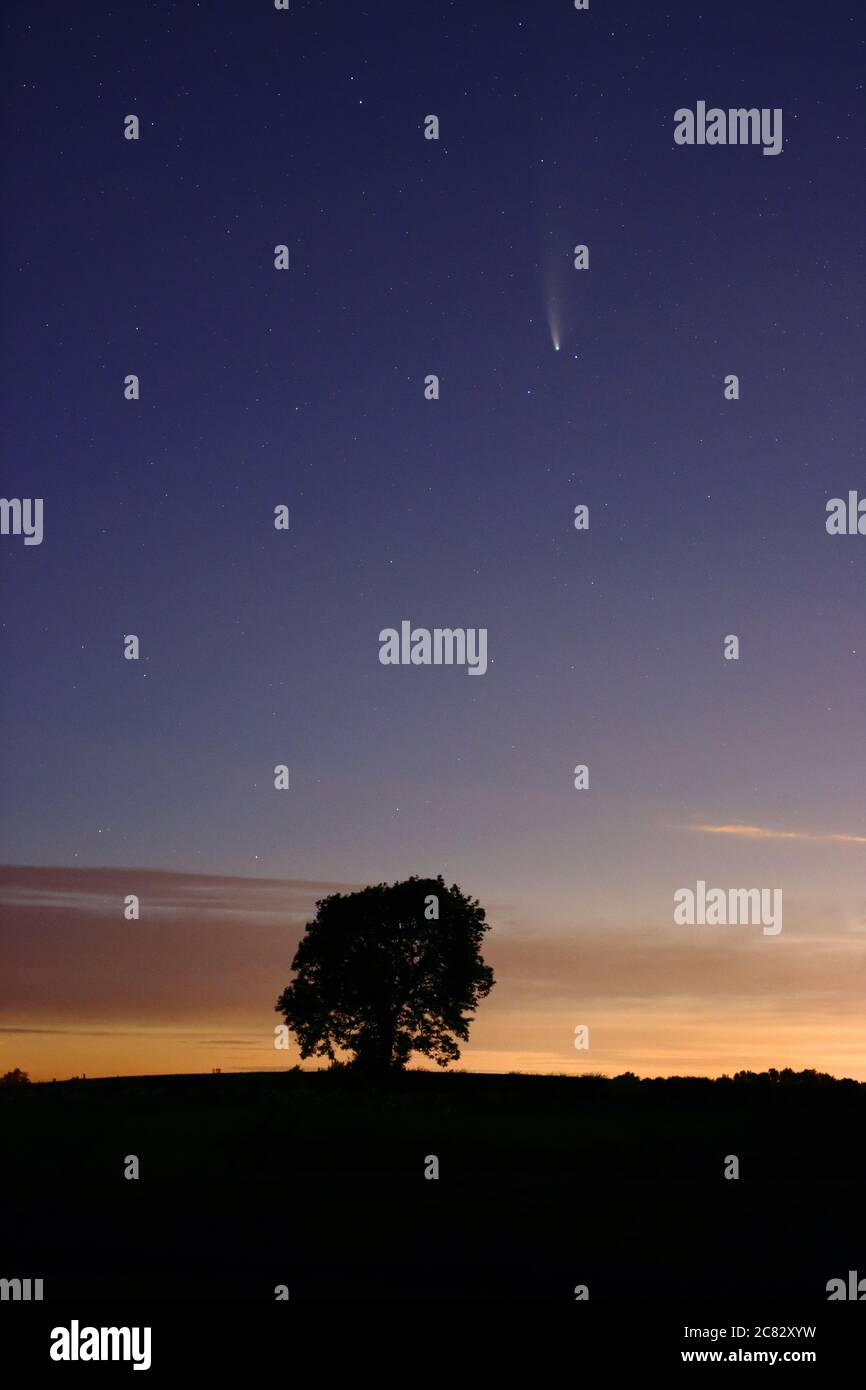 Image of Comet Neowise in the Night Sky with a silhouette of a tree, 18th July 2020, County Durham, England, UK Stock Photo