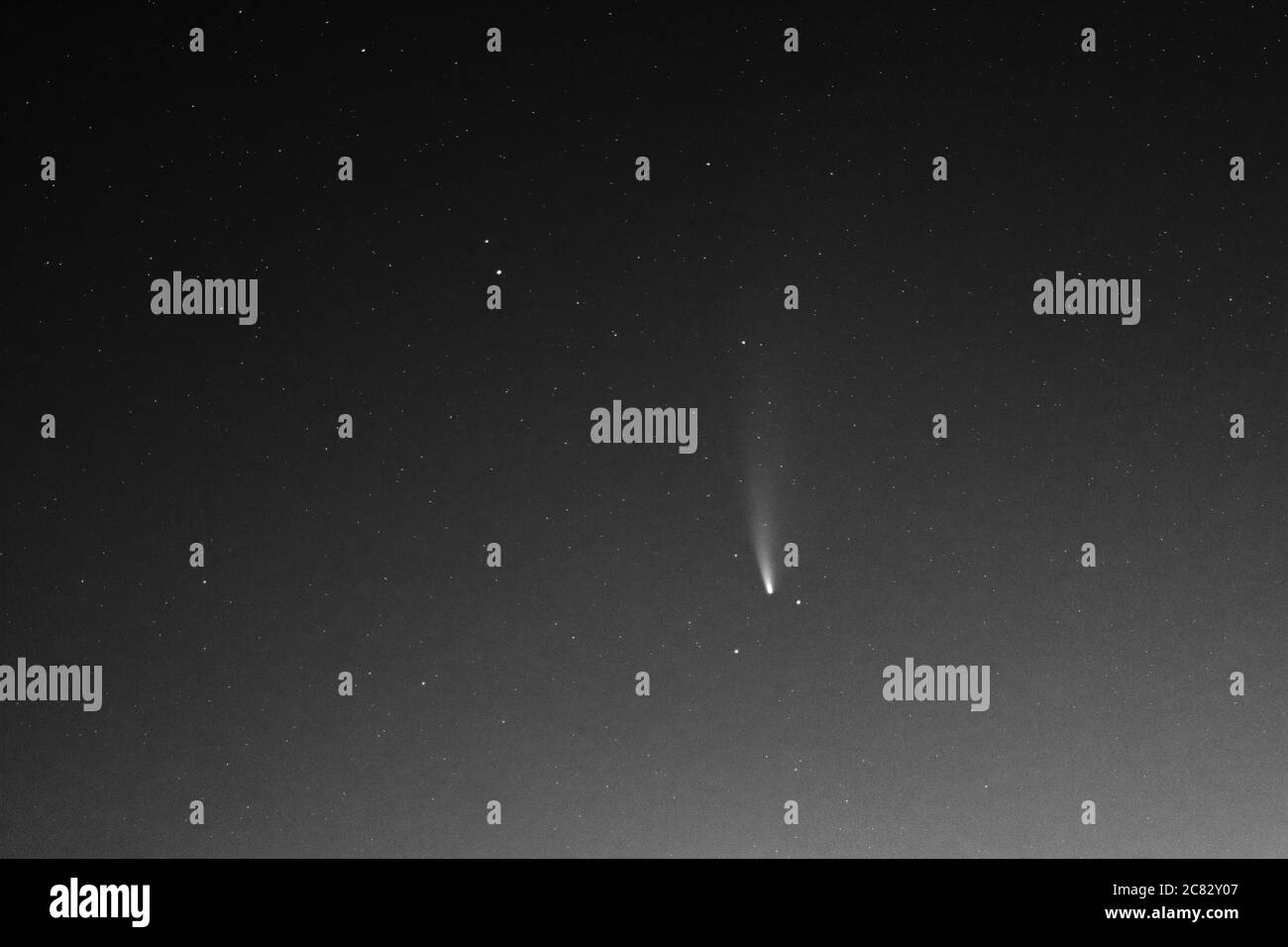 Black and White Image of Comet Neowise in the Night Sky, 18th July 2020, County Durham, England, UK. Stock Photo