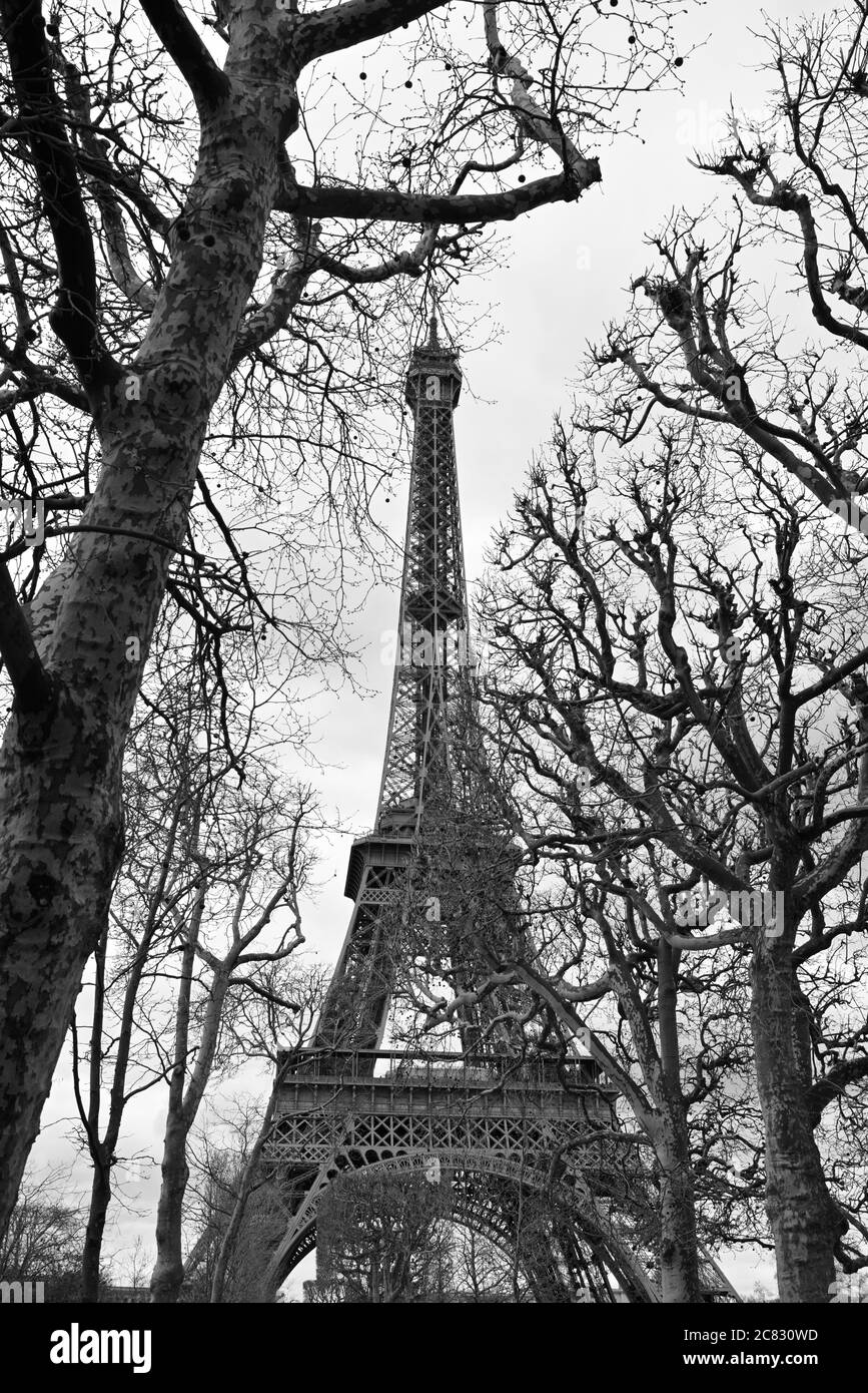 The world-famous Eiffel Tower (Black & White), Paris FR Stock Photo