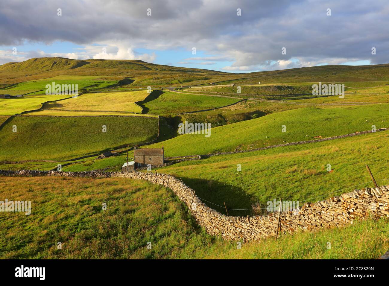 Scenic view of a dry stone wall and fields on a hillside at Stainmore, Pennines, Cumbria, England, UK Stock Photo