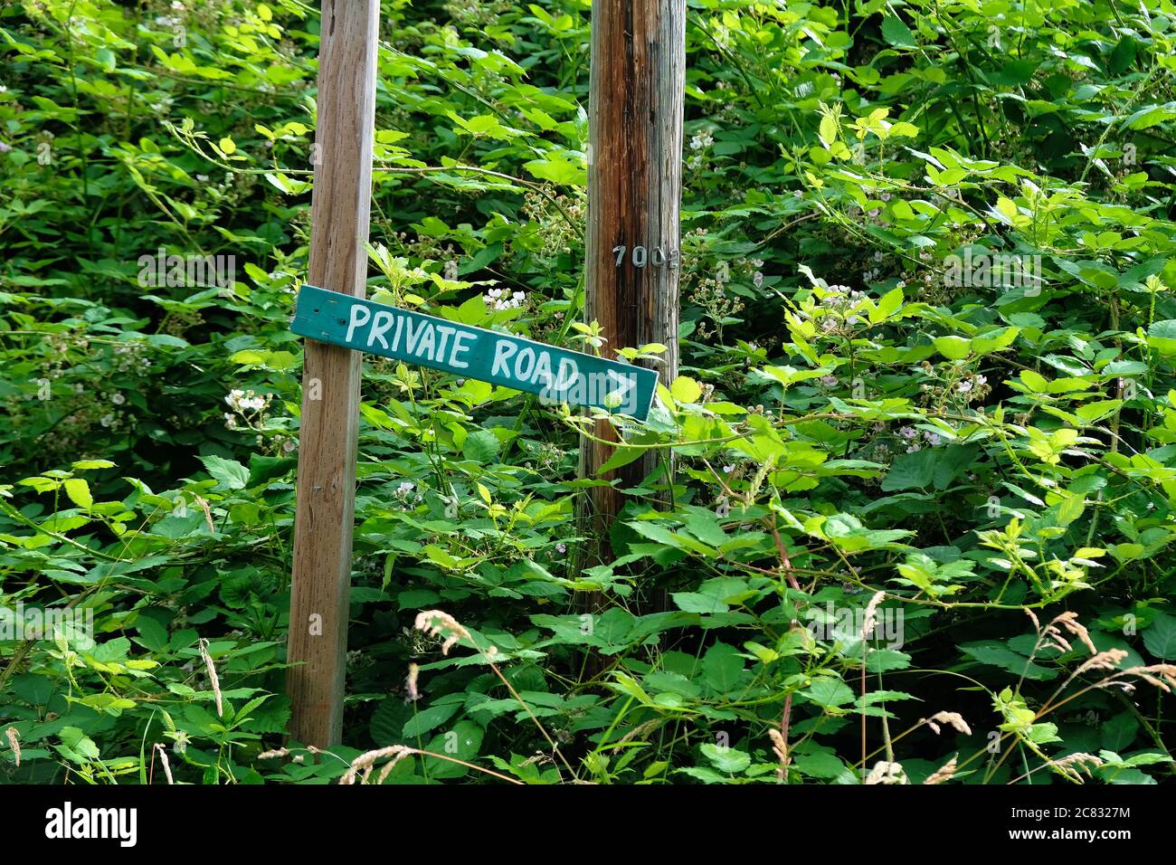 Hand painted Private Road sign nailed to or screwed on a wood post surrounded by lush greenery and wild vegetation; privacy concept. Stock Photo