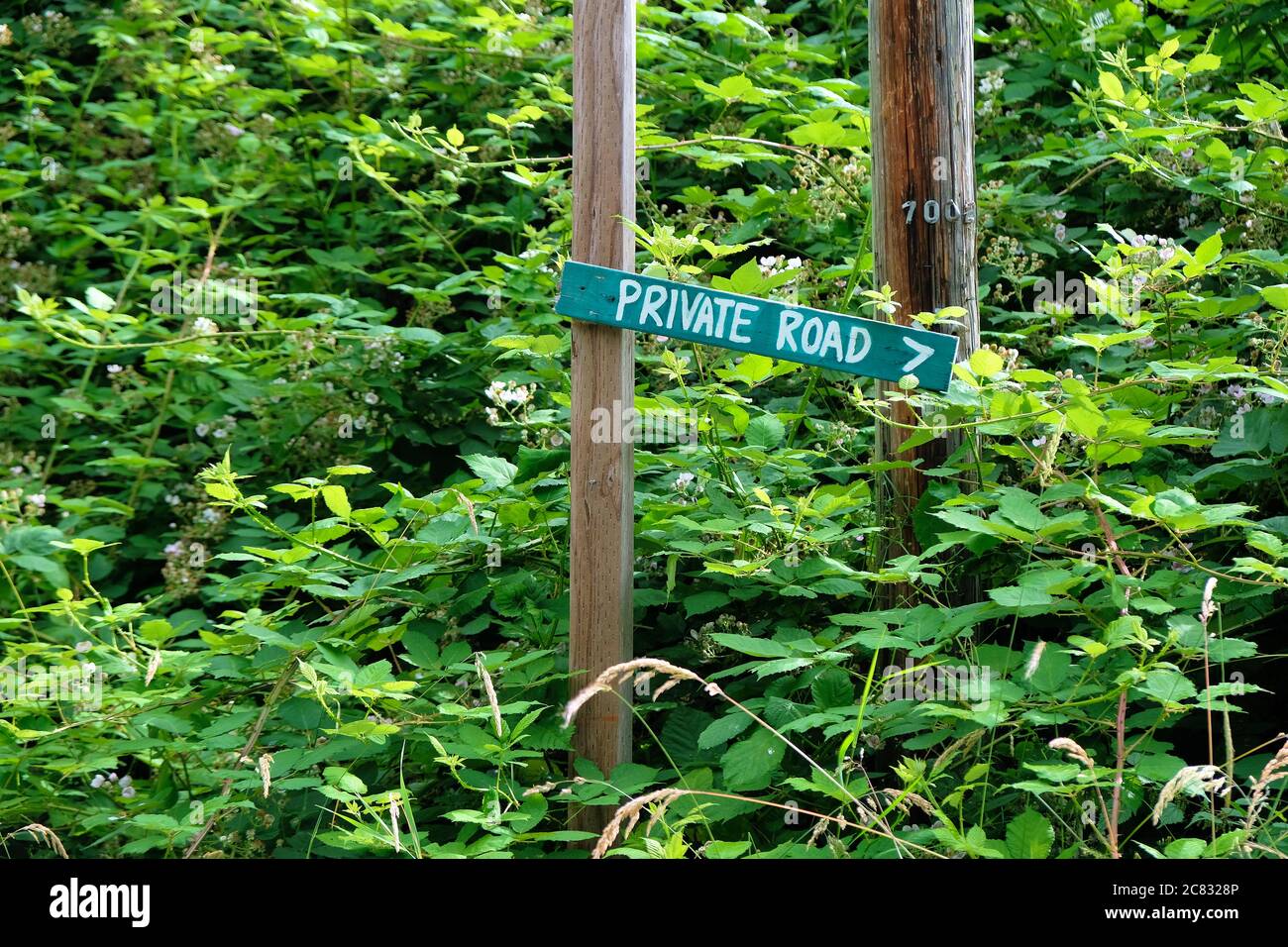 Hand painted Private Road sign nailed to or screwed on a wood post surrounded by lush greenery and wild vegetation; privacy concept. Stock Photo