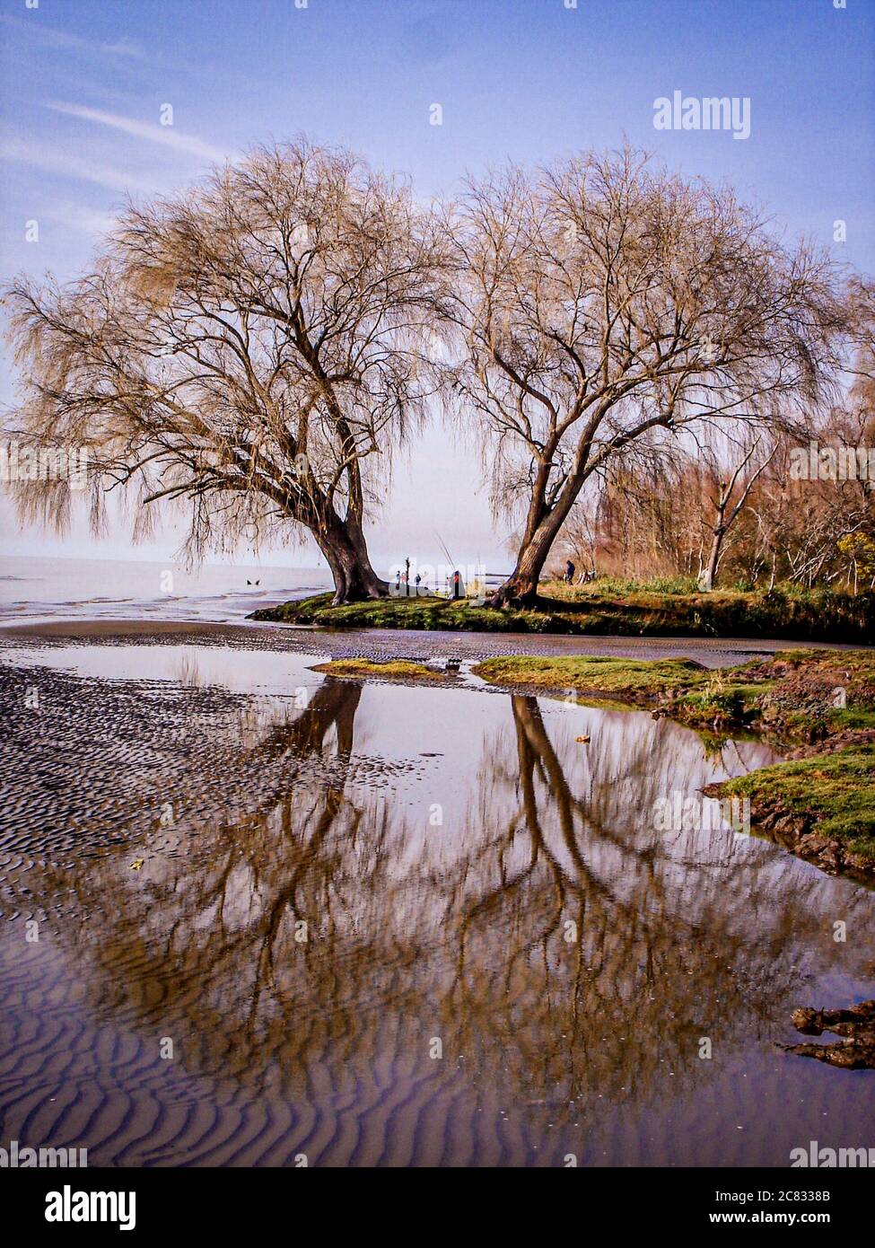 Beautiful shot of a reflection of trees in the lake Stock Photo - Alamy