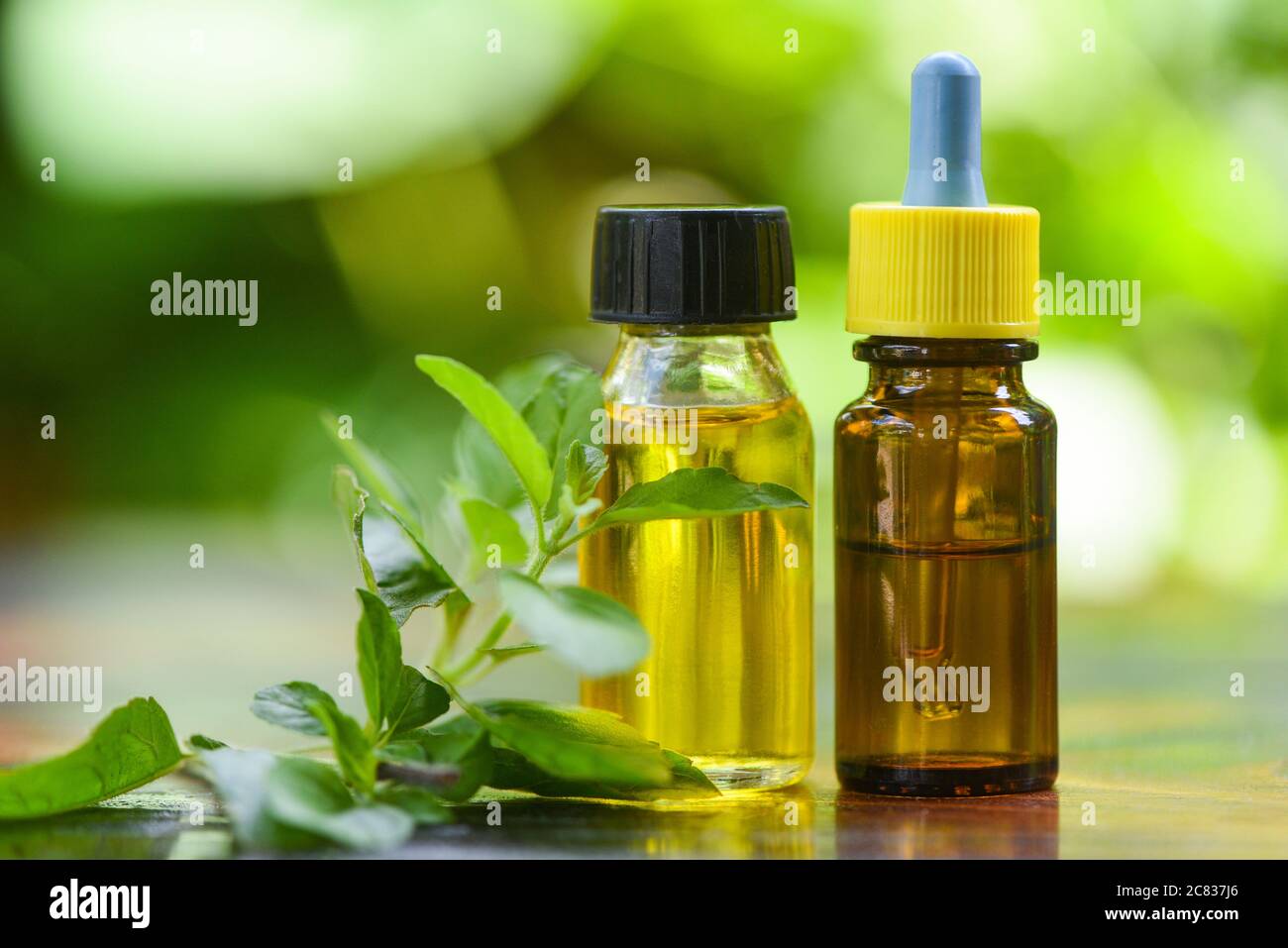 Holy Basil Essential Oil natural and green background / Aromatherapy