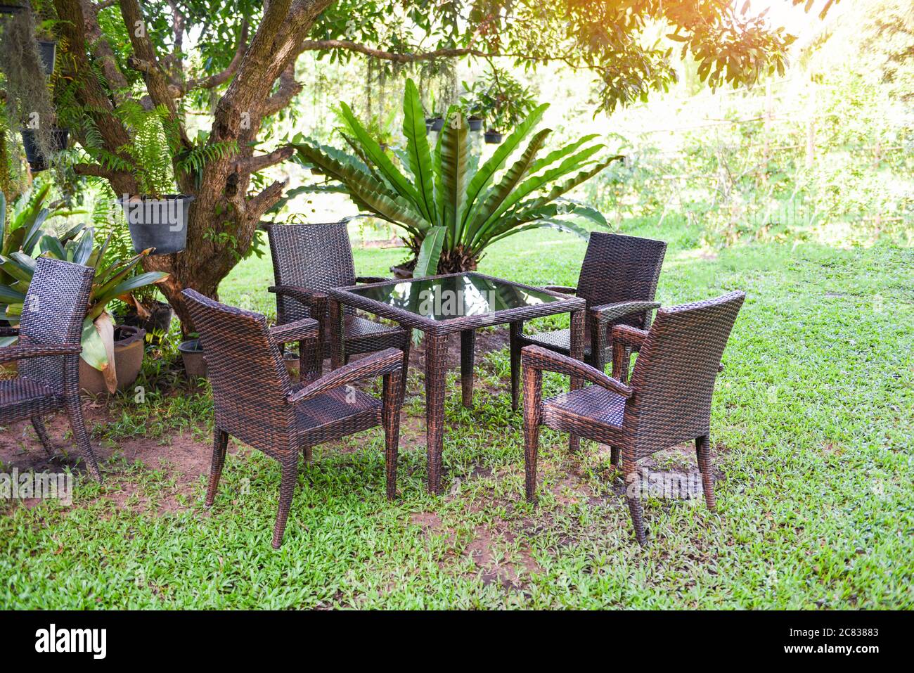 Table and chairs in the garden under the tree summer / Set of table
