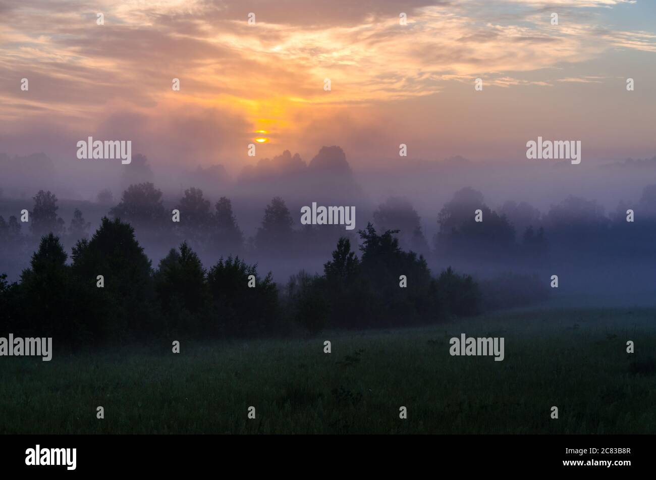 early in the morning, at dawn. Thick mystical fog over a green forest ...