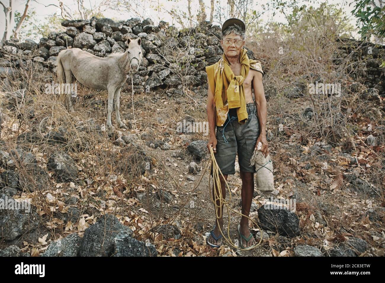 Portrait of a senior man as he is leading a pony on a rocky landscape in traditional village of Prailiang in Mondu, Kanatang, East Sumba, Indonesia. Stock Photo