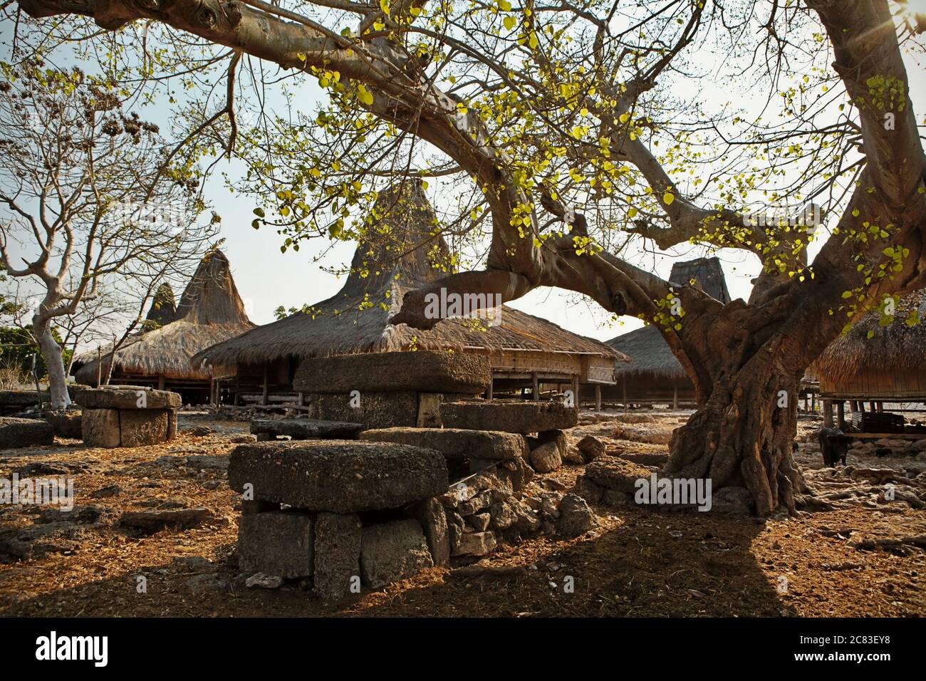 A dry season view of a traditional village packed with vernacular architectural style in Prailiang, Mondu, Kanatang, East Sumba, Indonesia. Stock Photo