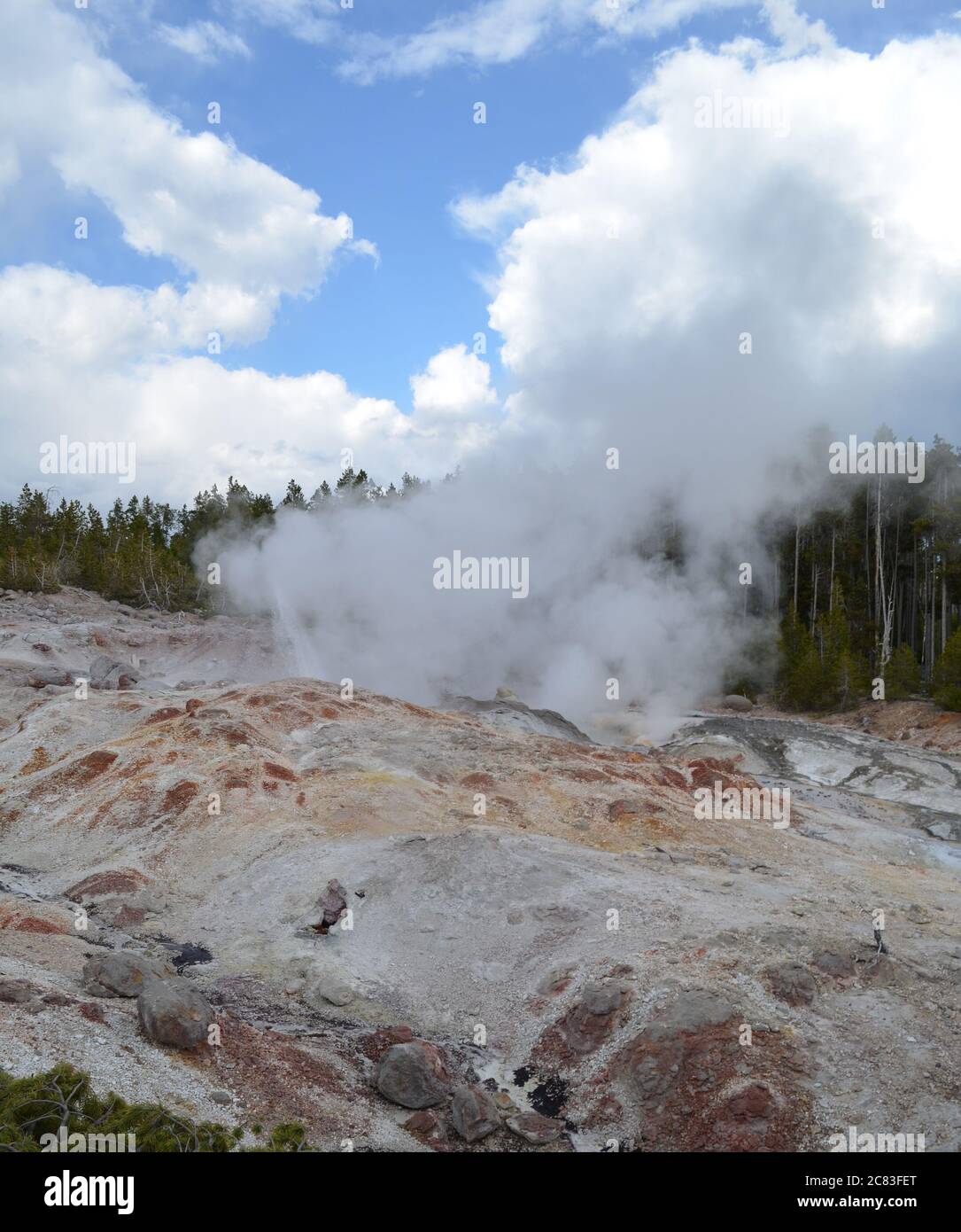 Yellowstone Spring Steam Late Spring in Yellowstone National Park: Steam Plume Rises From the ...