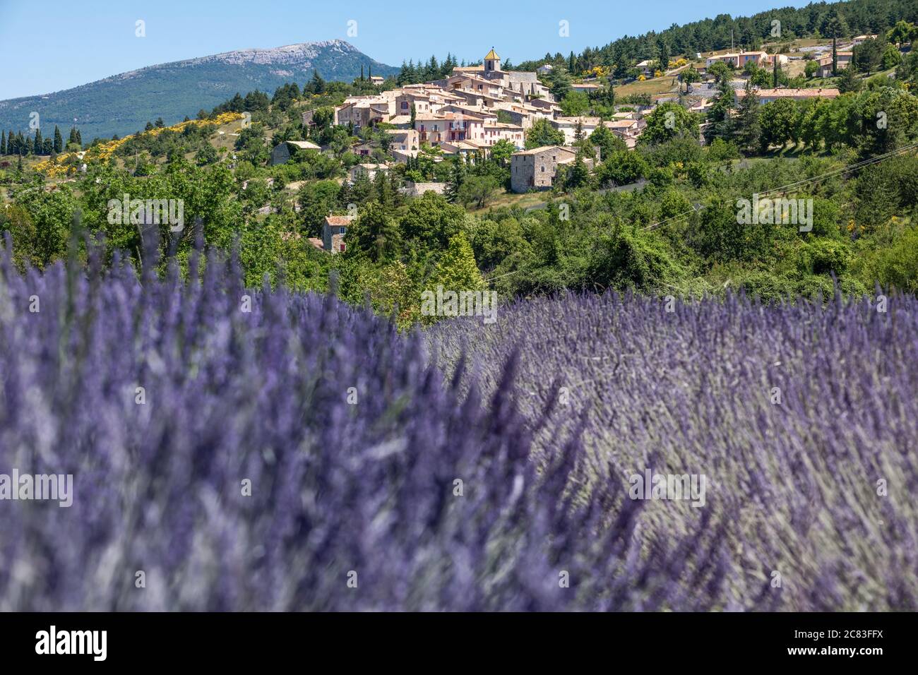 Close up of the french village of Aurel, surrounded by colorful lavender fields, under a blue summer sky Stock Photo