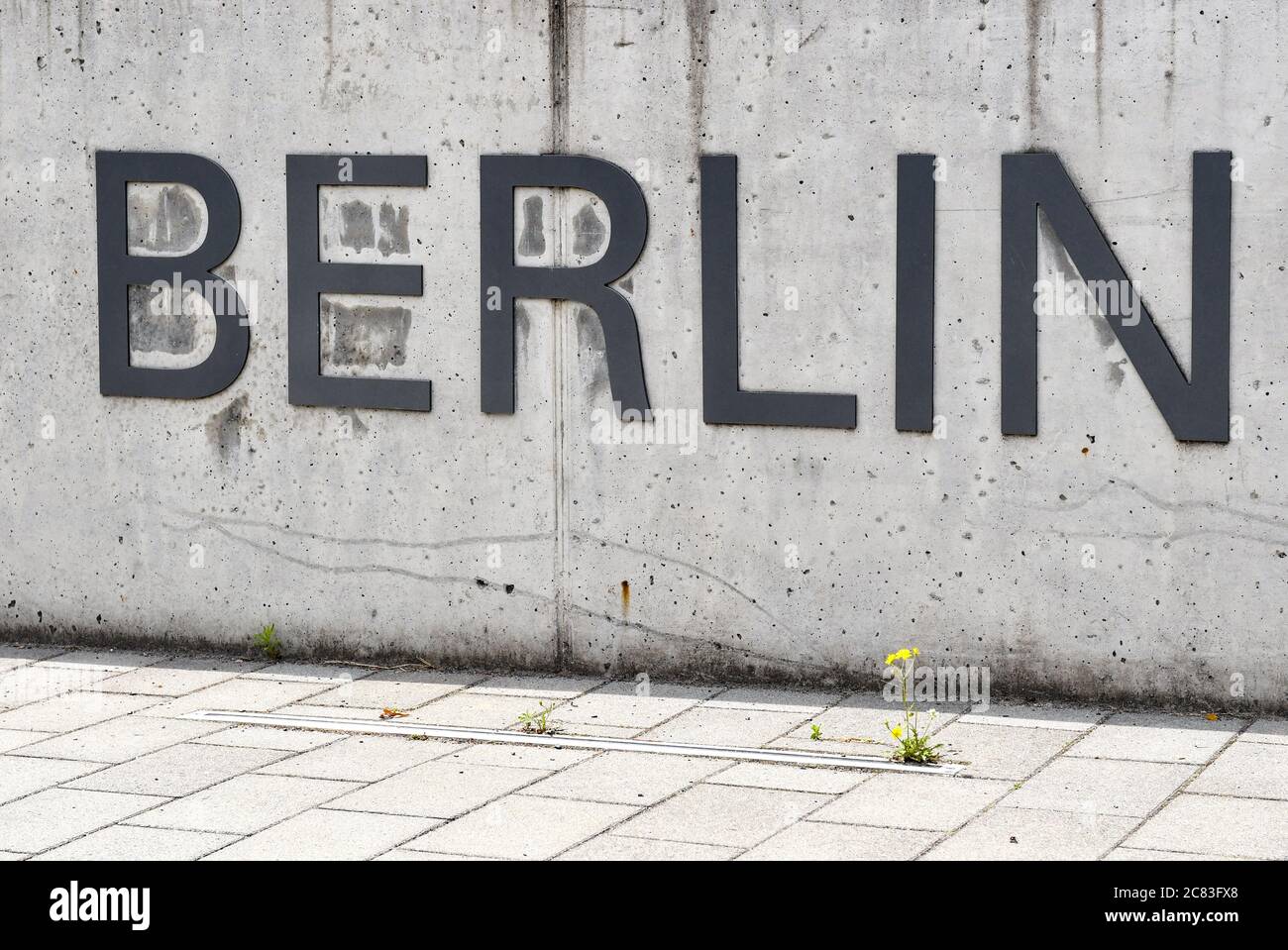 Berlin, Germany. 03rd July, 2020. The word "Berlin" is attached to a concrete wall in front of a university building of Freie Universität in Dahlem. In front of it, a yellow flower grows from the pavement. It is part of the lettering "Freie Universität Berlin". Credit: Jens Kalaene/dpa-Zentralbild/ZB/dpa/Alamy Live News Stock Photo