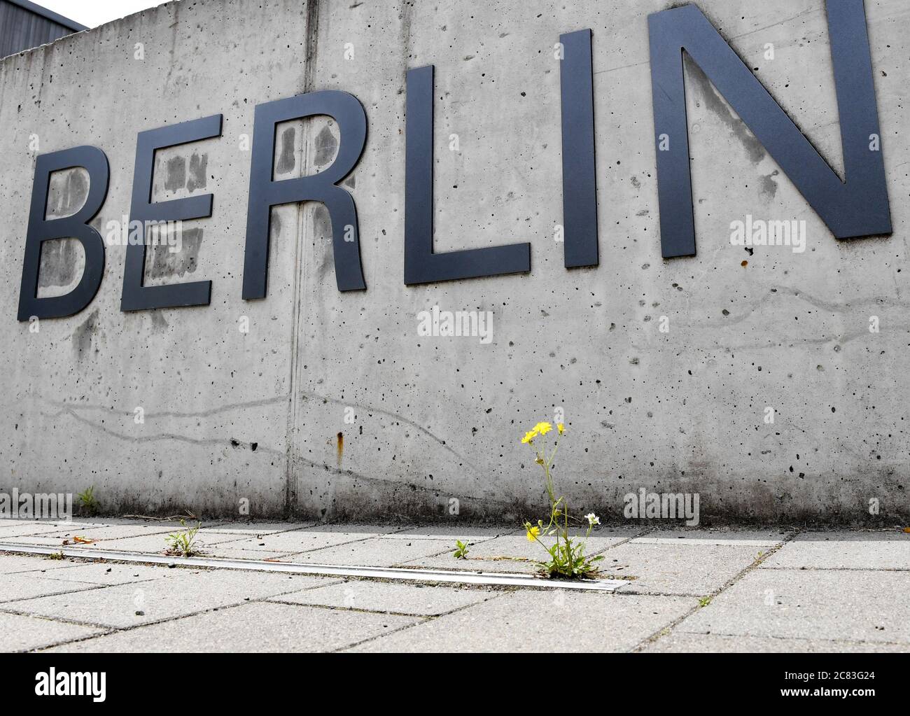 Berlin, Germany. 03rd July, 2020. The word "Berlin" is attached to a concrete wall in front of a university building of Freie Universität in Dahlem. In front of it, a yellow flower grows from the pavement. It is part of the lettering "Freie Universität Berlin". Credit: Jens Kalaene/dpa-Zentralbild/ZB/dpa/Alamy Live News Stock Photo