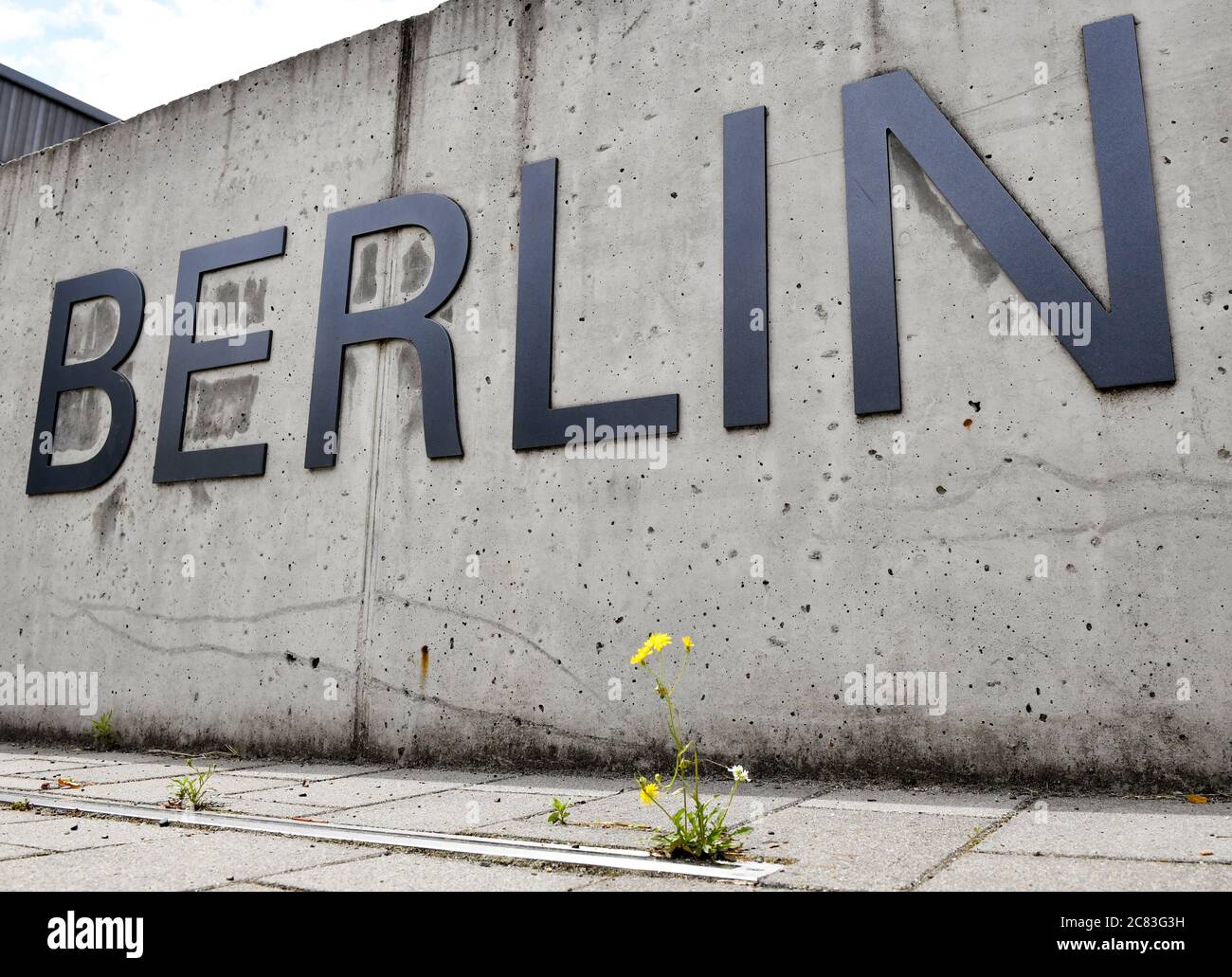 Berlin, Germany. 03rd July, 2020. The word "Berlin" is attached to a concrete wall in front of a university building of Freie Universität in Dahlem. In front of it, a yellow flower grows from the pavement. It is part of the lettering "Freie Universität Berlin". Credit: Jens Kalaene/dpa-Zentralbild/ZB/dpa/Alamy Live News Stock Photo
