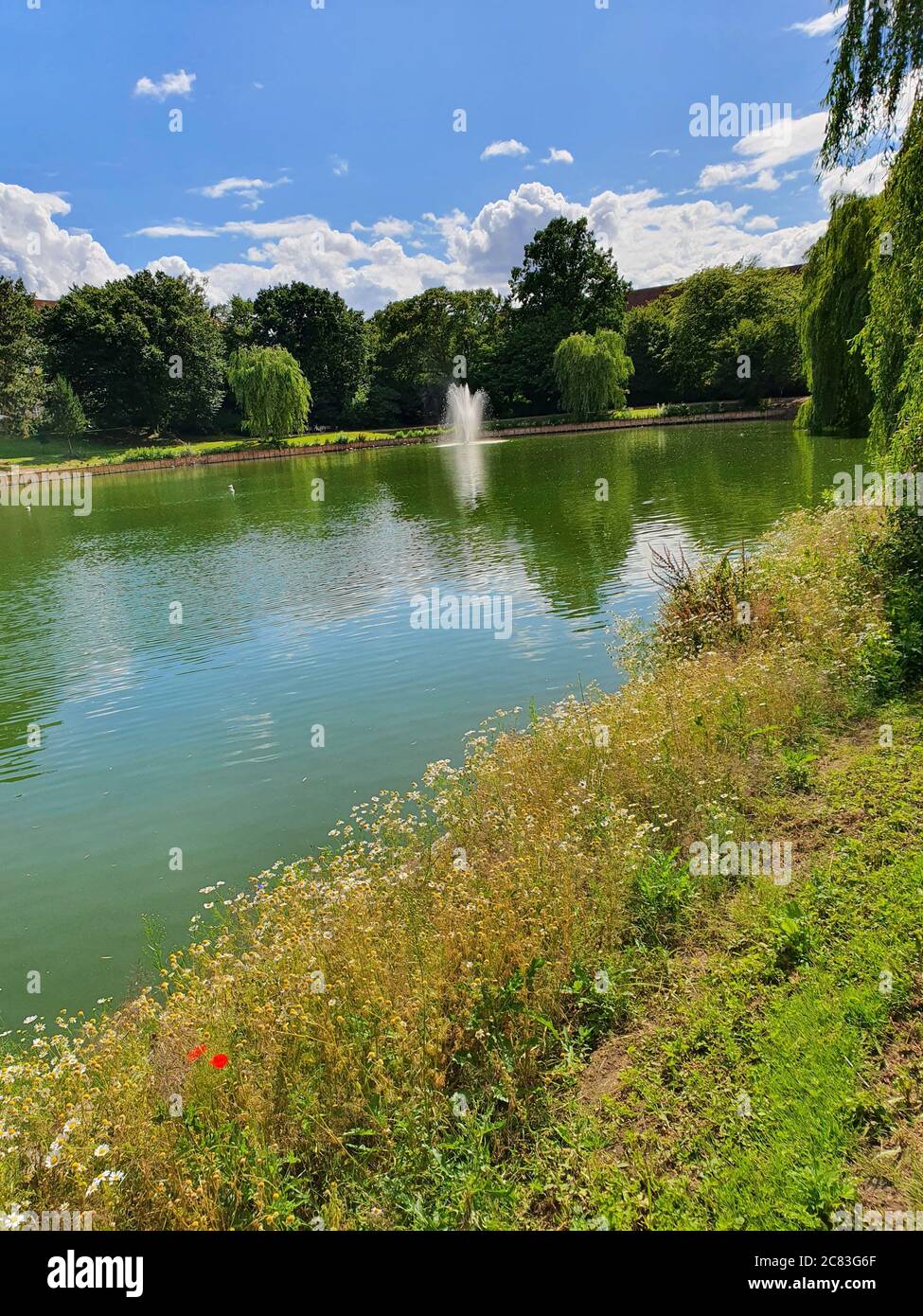 Vertical shot of a lake surrounded by trees during daytime Stock Photo ...