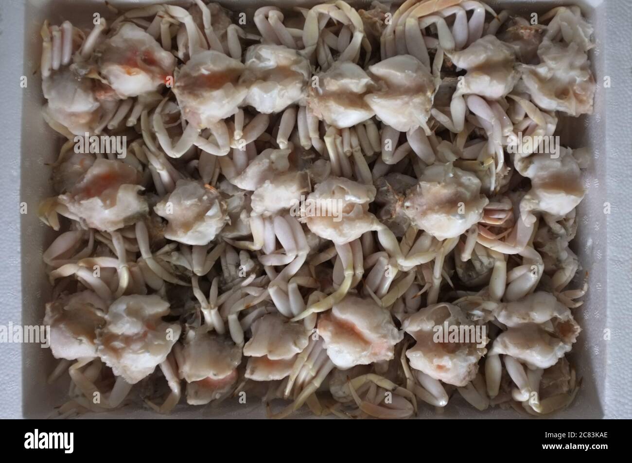 Frozen crab, Close up fresh crab Stock Photo Alamy