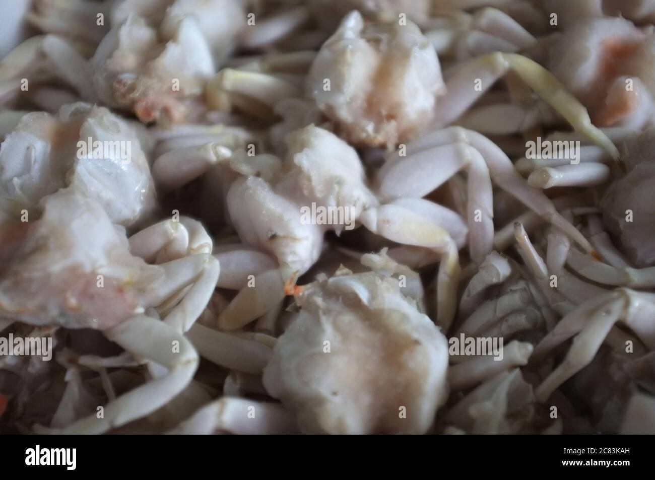 Frozen crab, Close up fresh crab Stock Photo Alamy