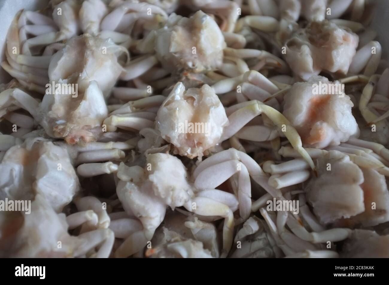 Frozen crab, Close up fresh crab Stock Photo Alamy