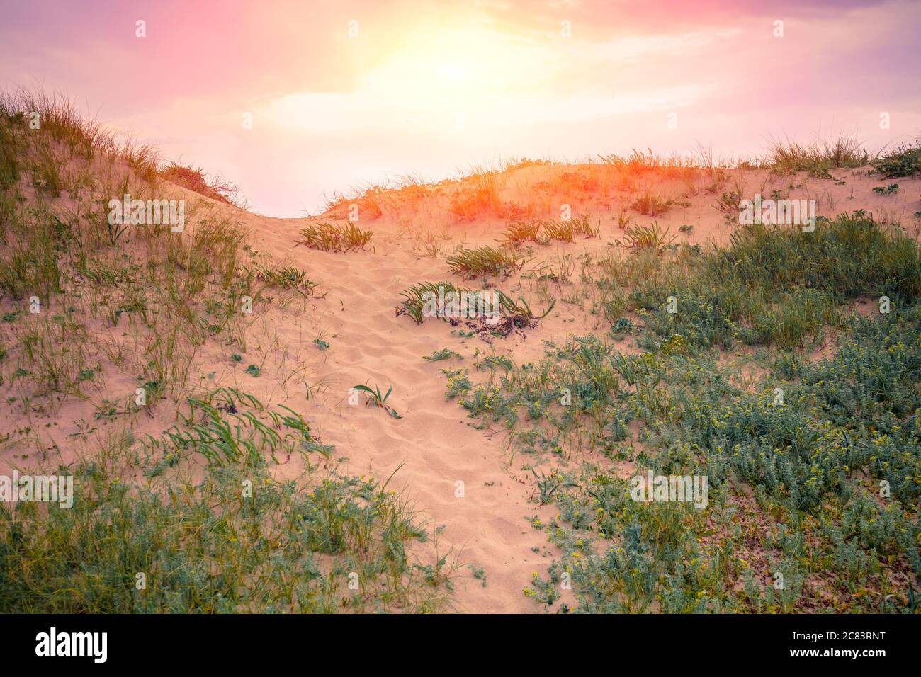 Sandy dune against evening sky. Nature landscape. Sandy hills on the beach Stock Photo