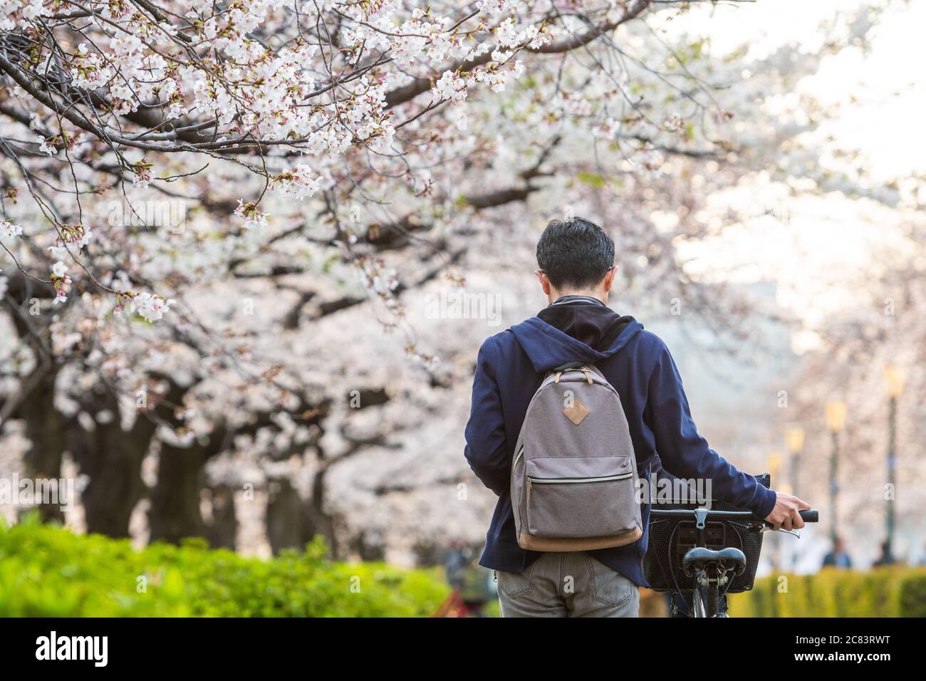 blurred photo of Hanami in the sakura garden. The popular festival sakura matsuri during spring season. People in japan usually go to park and enjoy t Stock Photo