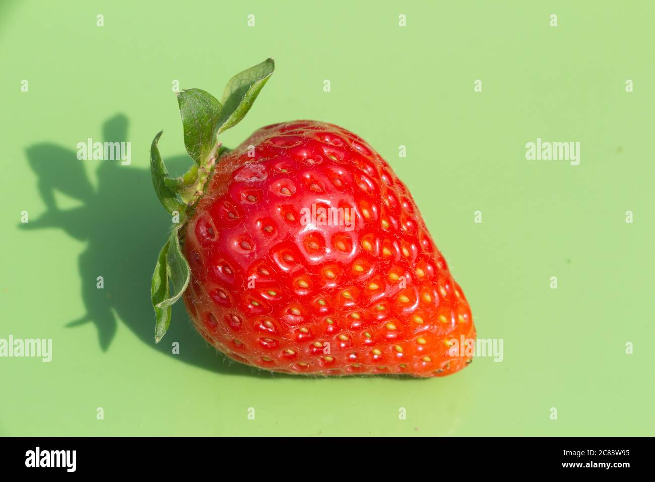 Strawberry on green background after harvesting in a vegetable garden Stock Photo