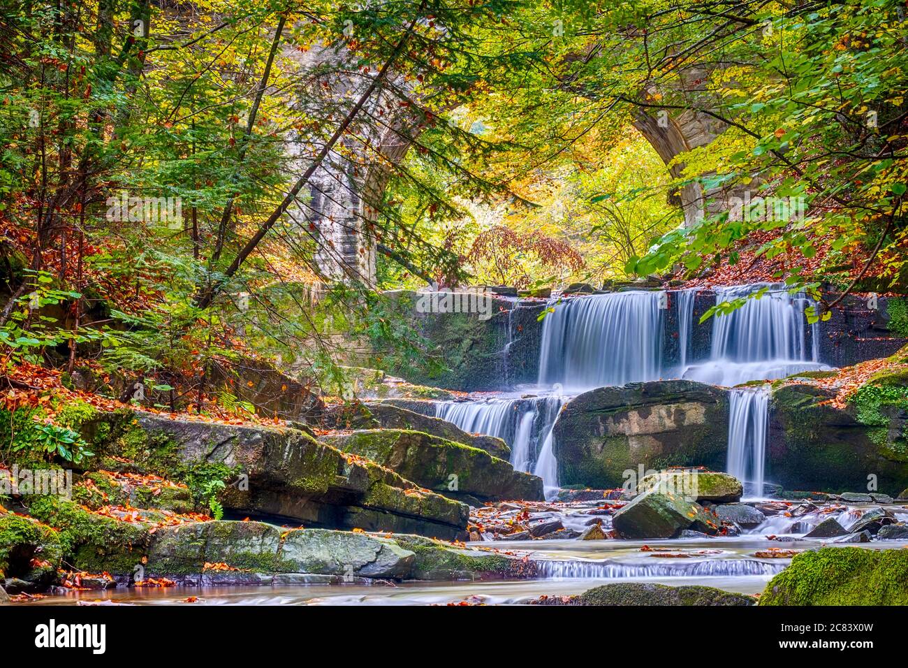 Sunny forest and autumn day. Small river and several natural rapids of a waterfall Stock Photo