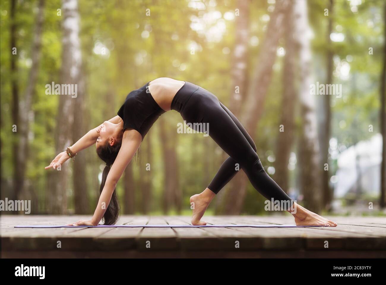 265 Partner Yoga Challenge Images, Stock Photos, 3D objects, & Vectors |  Shutterstock