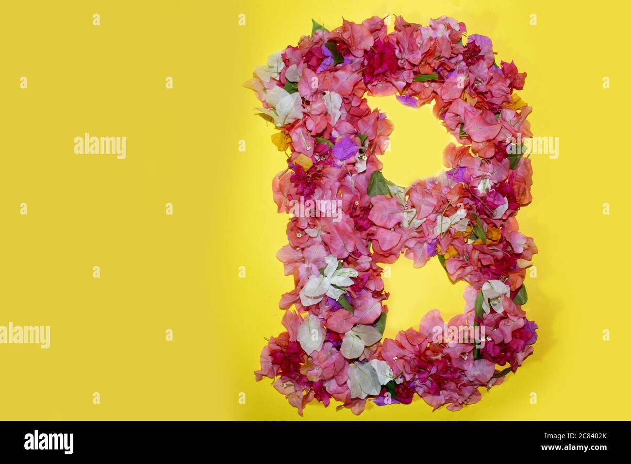 letter B flower alphabet, made from colorful bougainvillea flowers, wonderful flora letters for unique spring decorations and various creation ideas Stock Photo - Alamy letter B flower alphabet, made from colorful bougainvillea flowers, wonderful flora letters for unique spring decorations and various creation ideas Stock Photo - Alamy