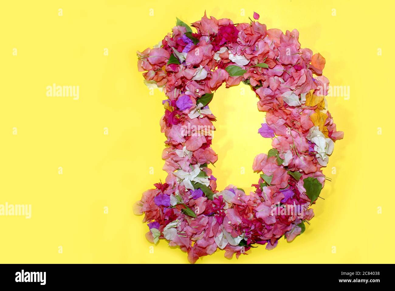letter D flower alphabet, made from colorful bougainvillea flowers, wonderful flora letters for unique spring decorations and various creation ideas, Stock Photo