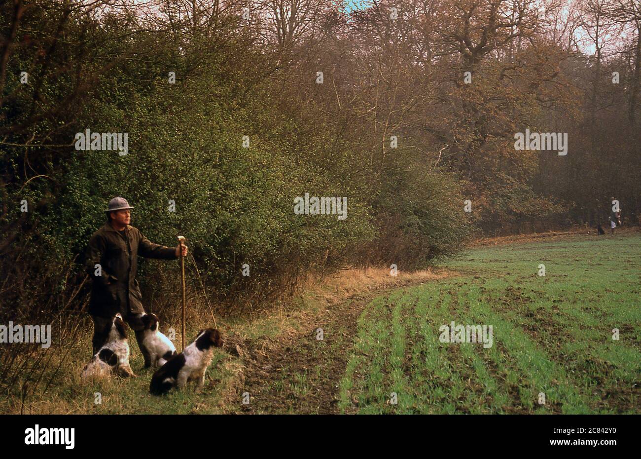 Gamekeeper on a Pheasant Shoot close to Offa's Dike Shropshire UK 1990 Stock Photo