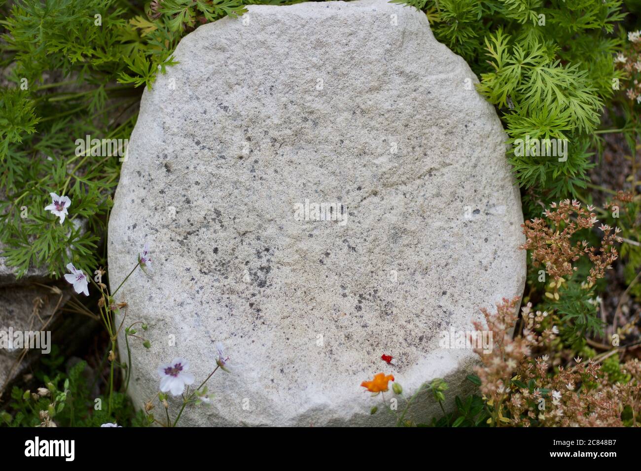 Background of white stone in garden setting with copy space Stock Photo