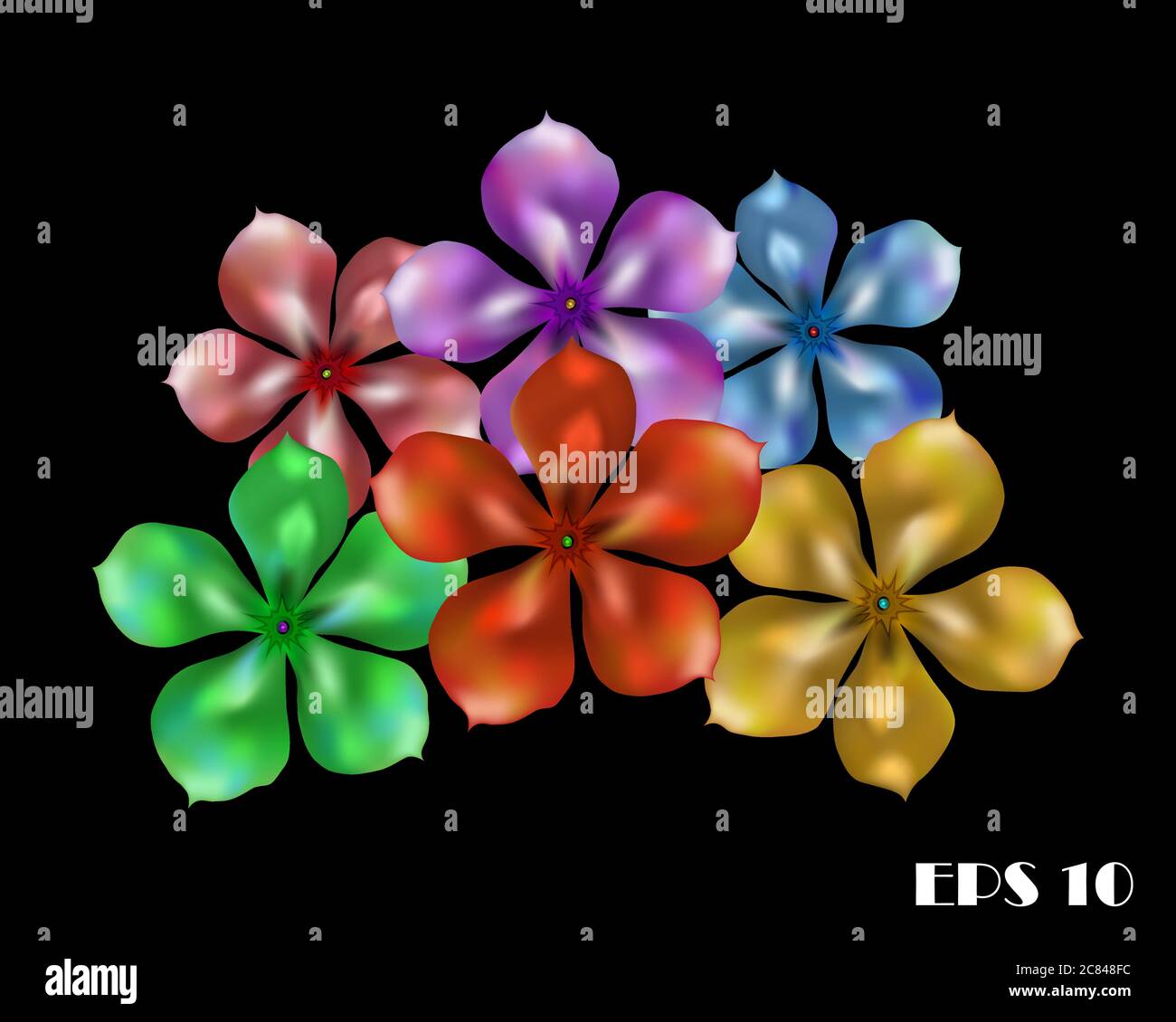 Vector illustration of six beautiful multicolored flower on a black background. Stock Vector