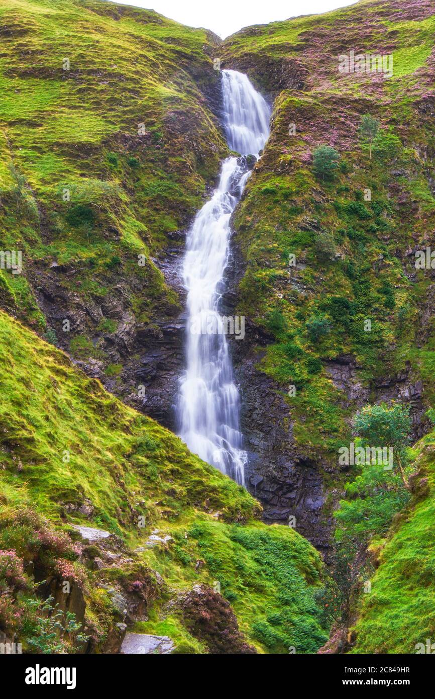 Grey Mare's Tail waterfall and Nature Reserve near Moffat in the Scottish Borders region of Scotland Stock Photo