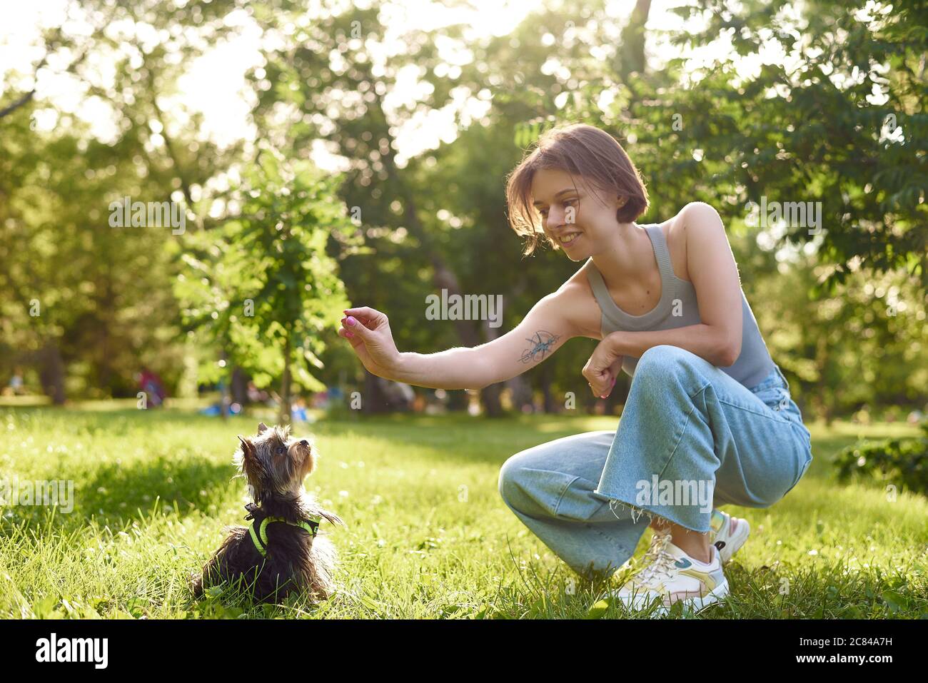 A young girl runs and plays in a green park with her Yorkshire terrier ...