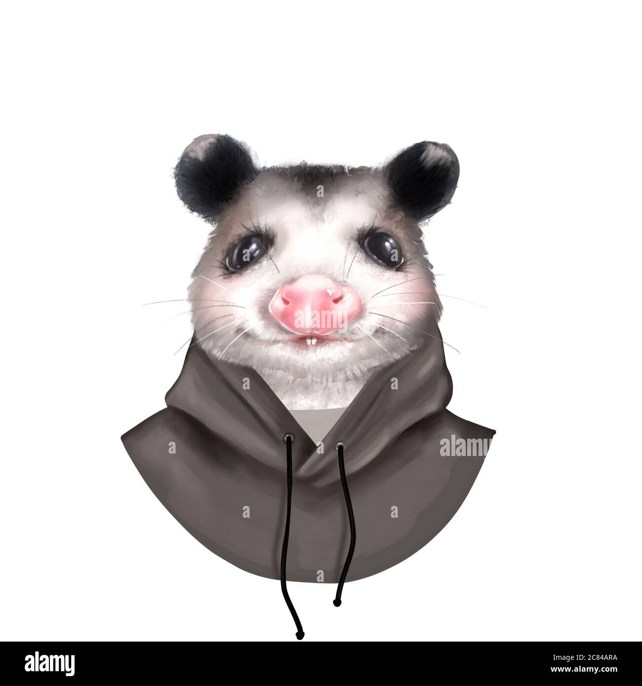 Opossum portrait on white. Cute animal illustration Stock Photo