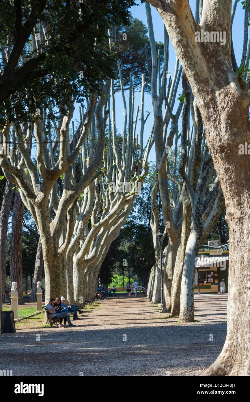 Green alley with trees in the city park in sunny spring day at Rome ...