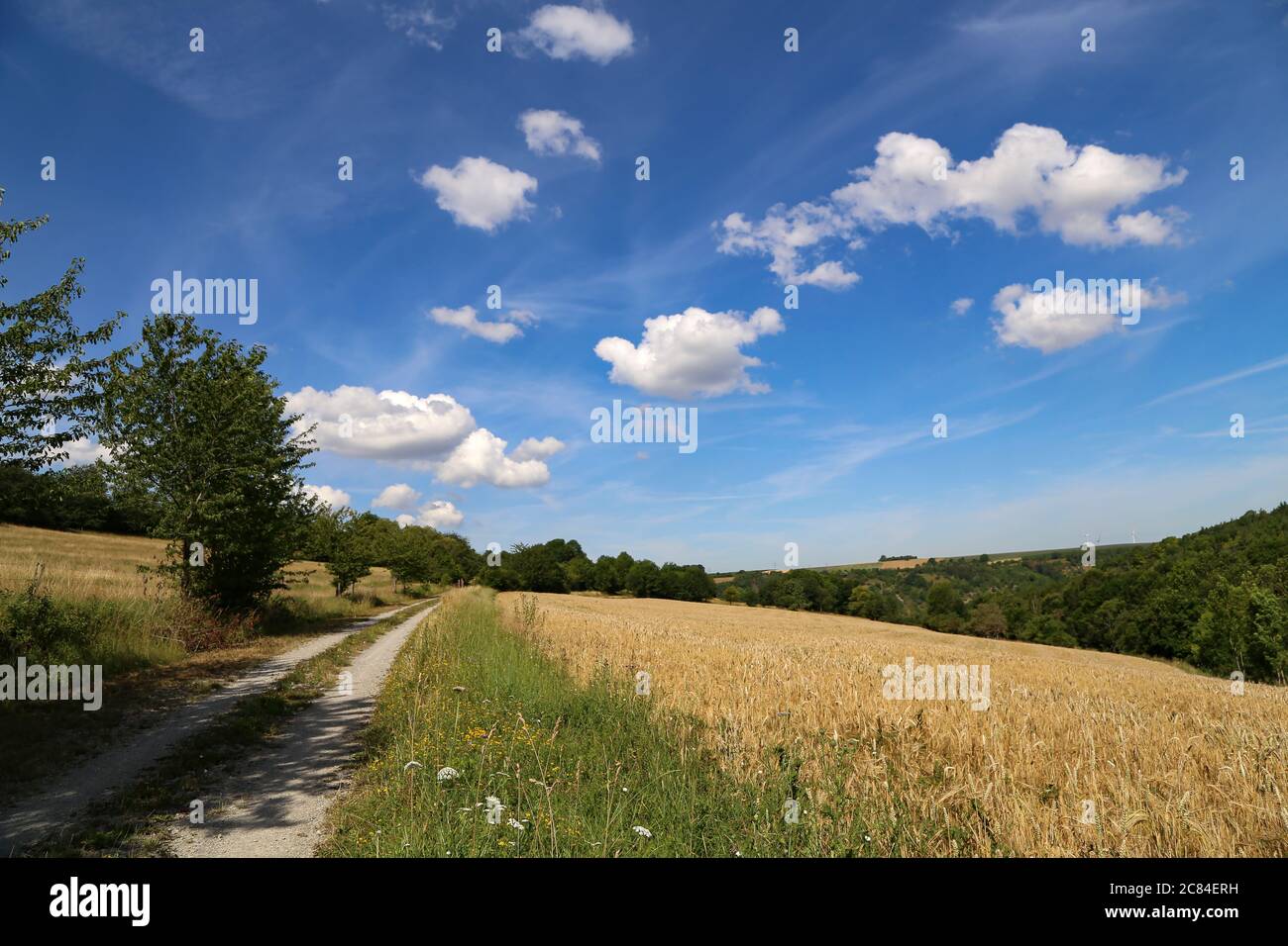 Summer landscape with wheat fields and beautiful sky Stock Photo - Alamy