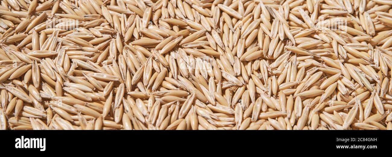 Oat Texture High Resolution Stock Photography and Images - Alamy