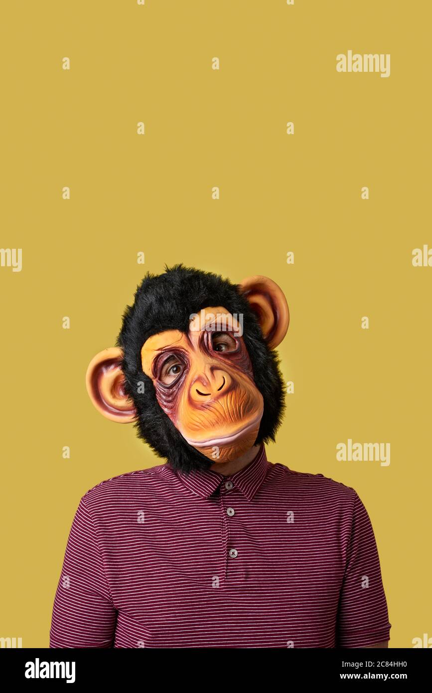Download Monkey Mask High Resolution Stock Photography And Images Alamy Yellowimages Mockups