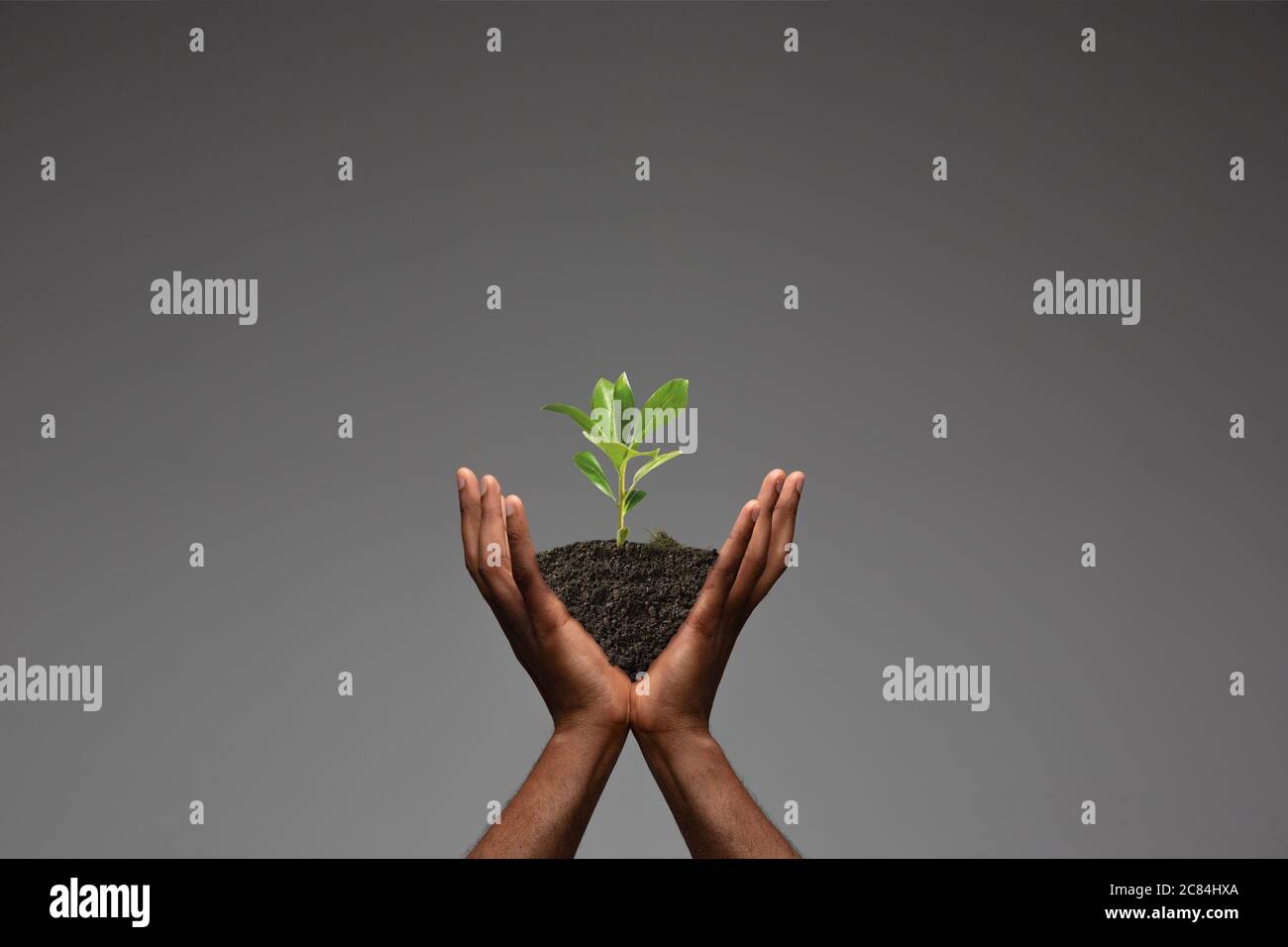 Human hands holding a fresh green plant, symbol of growing business ...