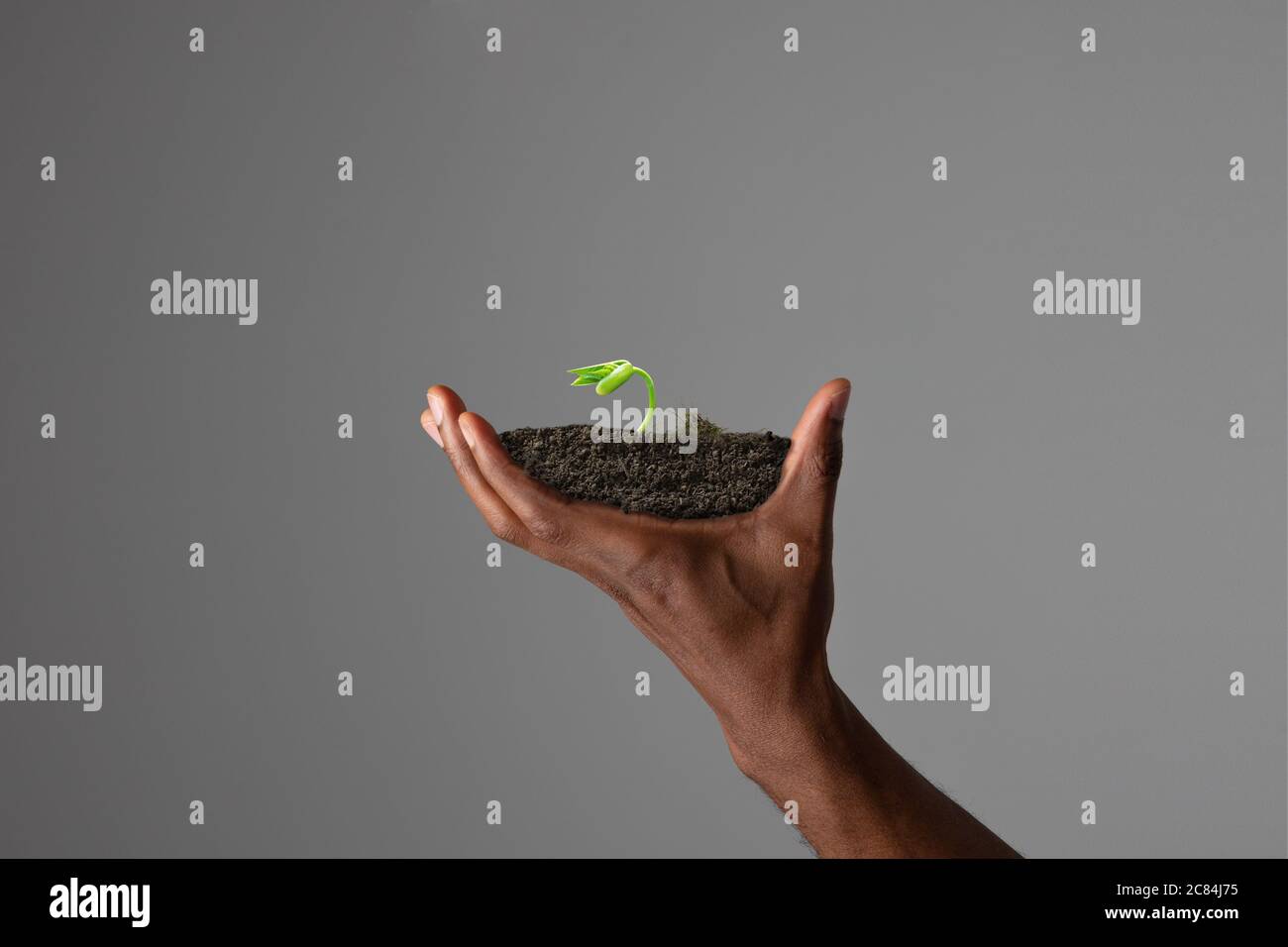 Human hands holding a fresh green plant, symbol of growing business ...