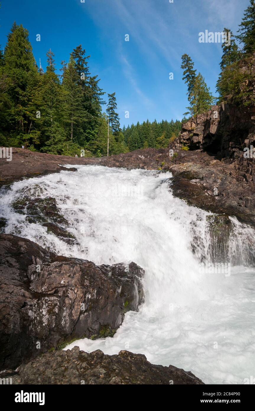 Elk Falls, Campbell River, Vancouver Island, British Columbia, Canada. Stock Photo