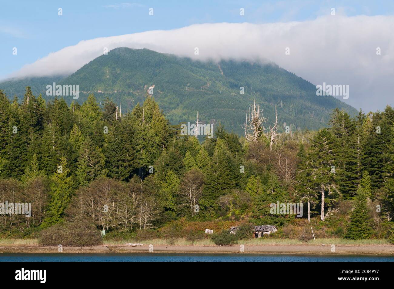 Mount Ozzard, Vancouver Island, British Columbia, Canada. Stock Photo