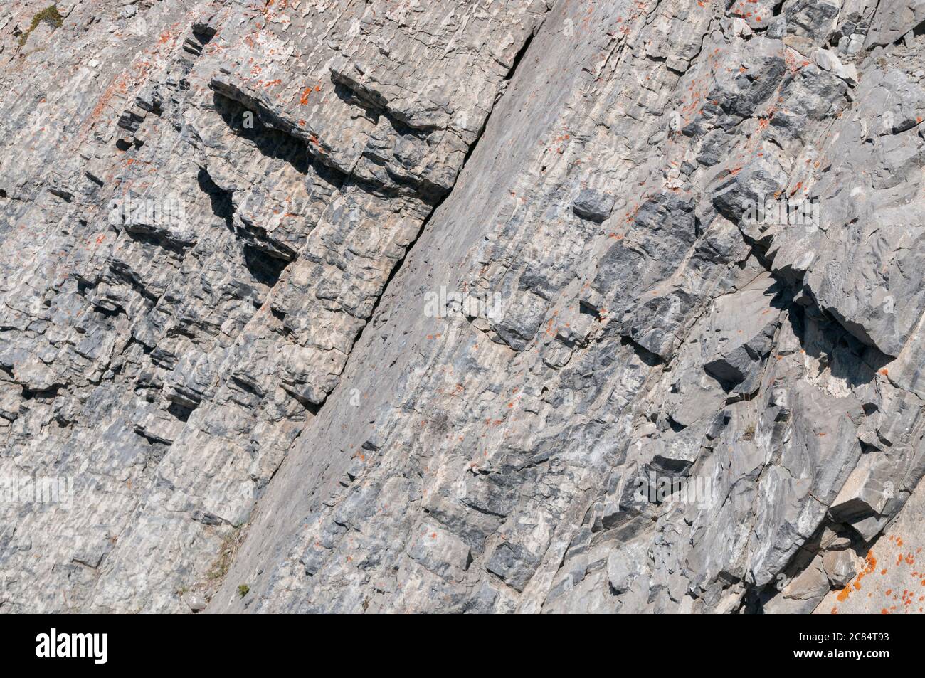 Sulphur Mountain, Banff, Alberta, Canada. Stock Photo