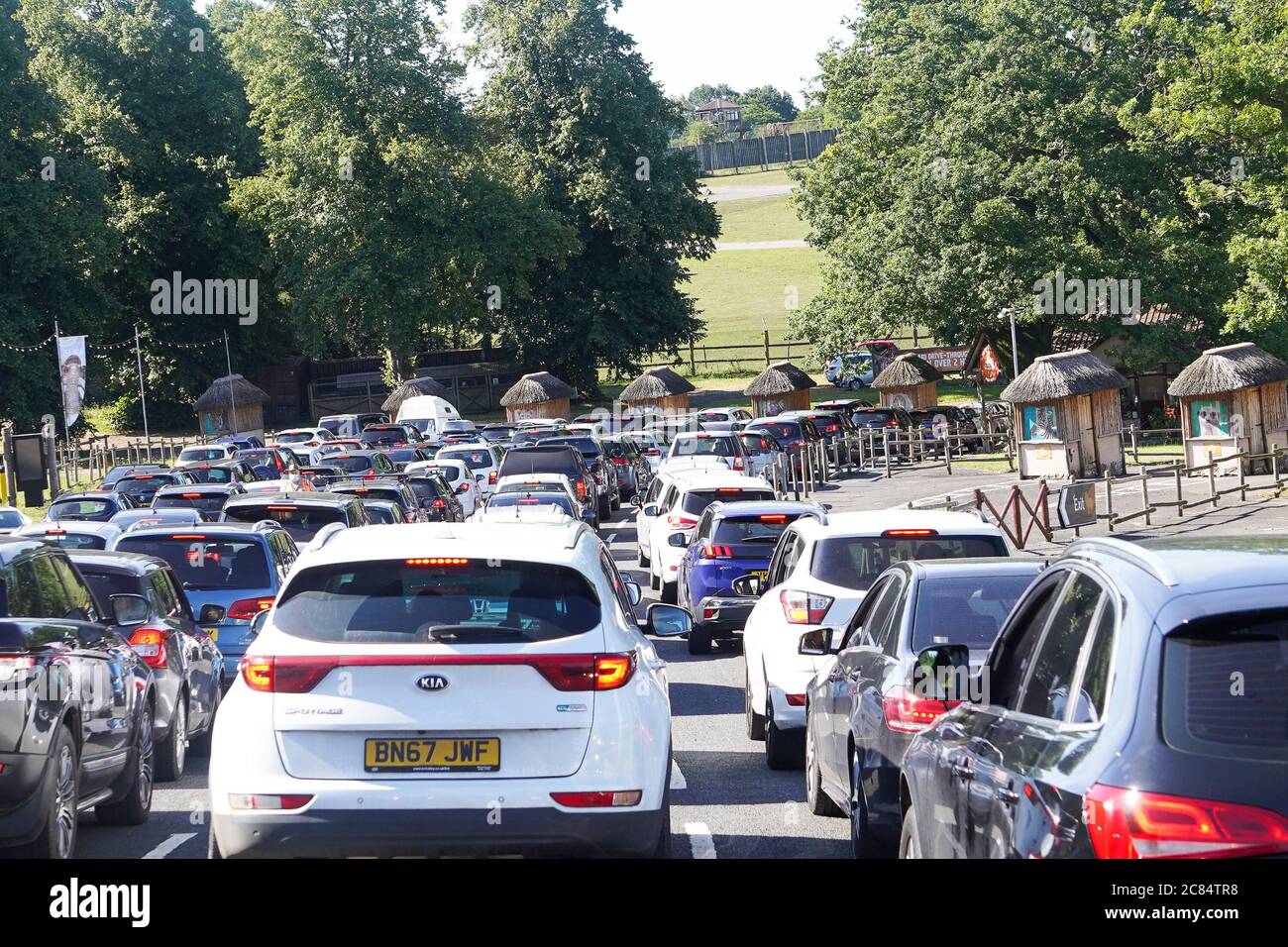 Bewdley, UK. 21st July, 2020. At the start of the official school holidays, the UK shows massive support for a visitor attraction hard-hit during the coronavirus lockdown. Visitors now flock in their droves to the West Midland Safari Park. Queues may be long, but Brits are used to queuing and nothing will stop them from showing their support for all things wild and from enjoying their UK staycation activities. Credit: Lee Hudson/Alamy Live News Stock Photo
