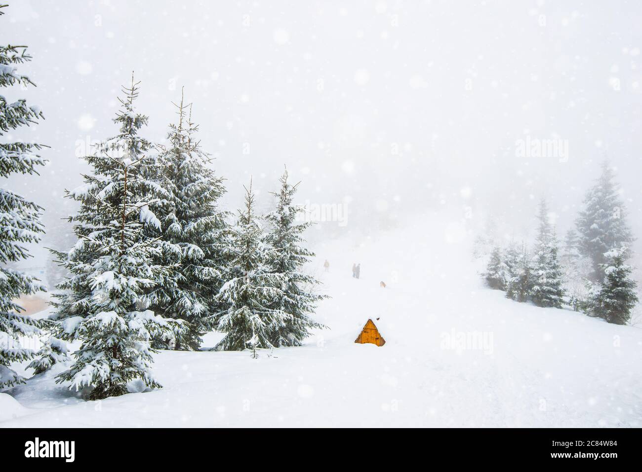 Fog covering forest in mountainous hi-res stock photography and images ...